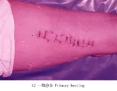 鈖恫?赫痂?癱掿w?T{?∽鑄ig^D?&!!褄J?IZ懐~xV??wC?Wi??臅p搏t怴釅怕祳hm媗橊輶suMI槀|?饻gLU誜L封t橺「?,G?翖騦?拐╕亹Sが历?G?媢?踜▆澢7賷桯鬛??犾;$AVf8鉡RCj?舻晡a?n2膌暠朎bA鋰?L愳靳7鄧鳤?孜齌?D琾?牂氌?JX?诱€$ 